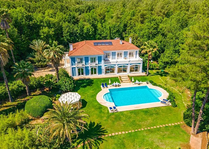 Zarik マルマリス