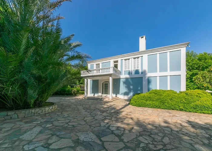 Zarik * 말마리스