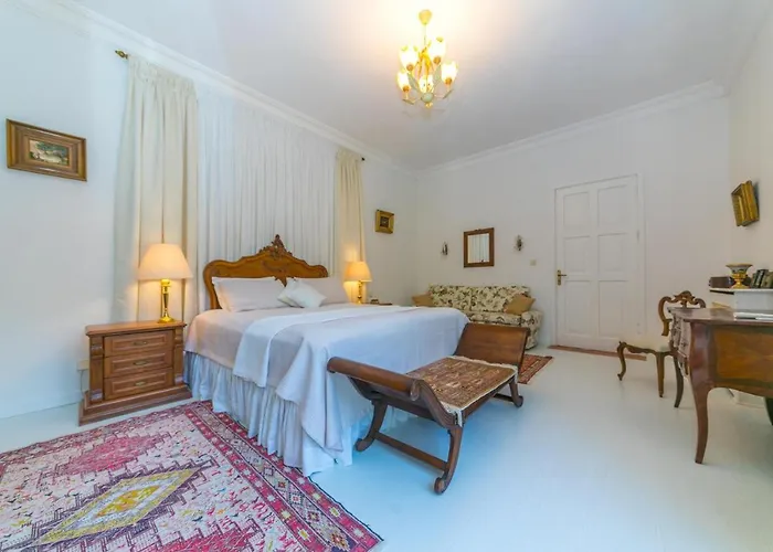 Zarik マルマリス